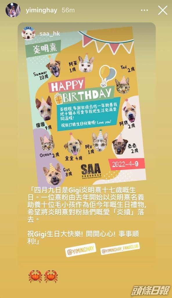 「Gi炎粉」以Gigi的名義助養毛孩，作為給偶像的生日禮物。